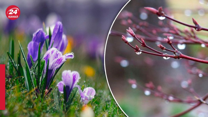 Westen und Norden bereiten sich auf Regen vor: Wettervorhersage für den 25. März