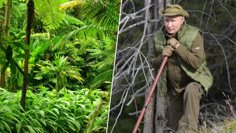 Statt Bunker – Dschungel: Wie der Kreml das AUTO nutzen kann