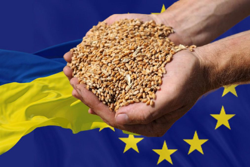 100 Millionen Euro Hilfe für Landwirte: Europäische Kommission plant Verbot ukrainischer Getreideimporte