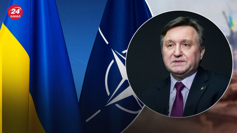 Fällt die Entscheidung per Mehrheitsbeschluss, wäre die Ukraine bereits in der NATO, – Gerge 