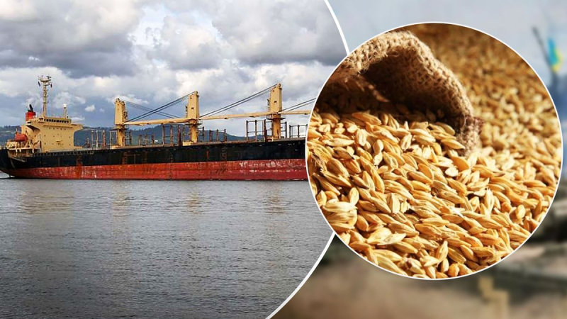 Die Ukraine bittet die Türkei, ein Schiff mit gestohlenem Getreide zu verhaften – WSJ