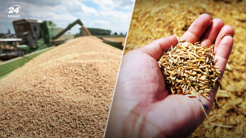 Die Slowakei wird ein weiteres europäisches Land, das Getreideimporte aus der Ukraine verbietet