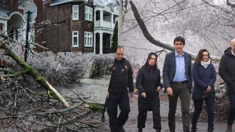 Kräftiger Schneesturm trifft Kanada: Eis-Apokalypse-Foto