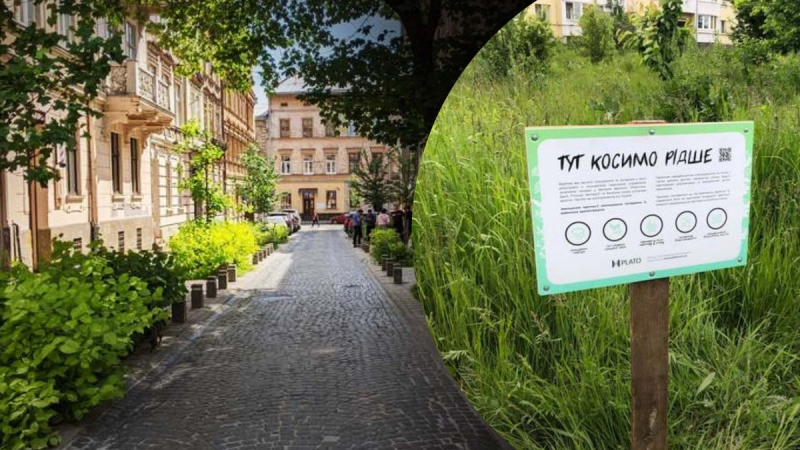 Rasen, Blumen und Stadtwiesen: Wie man die Straßen von Lemberg begrünt