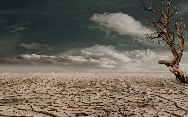 Die Welt leidet unter extremen Wetter- und Klimaereignissen – Weltorganisation für Meteorologie