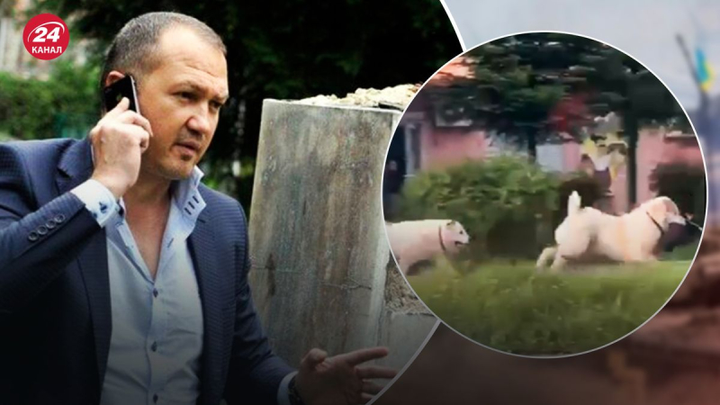 "Lagodichs Hunde": Wem gehört Alabai, der in Drohobytsch Menschen angegriffen und einen Hund getötet hat? /></p>
<p _ngcontent-sc156=