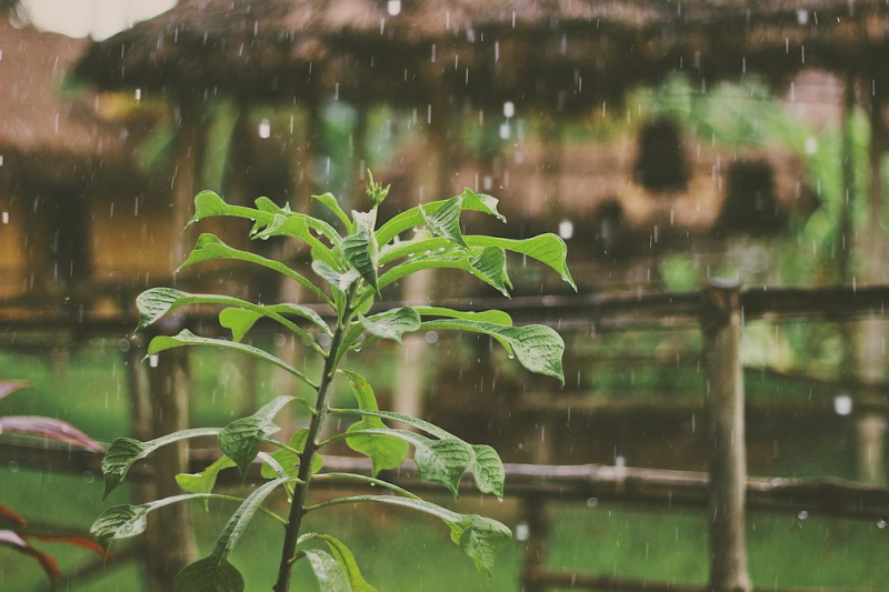 Sommerliche Wärme, gelegentlich Regen und Gewitter: Wie wird das Wetter in der Ukraine am nächsten Tag sein? 30. Mai