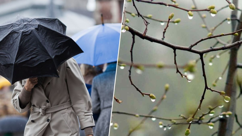 Regenreiche Sommer und kalte Frühlinge: Wie sich das Klima in der Ukraine in einem Jahrzehnt verändern wird