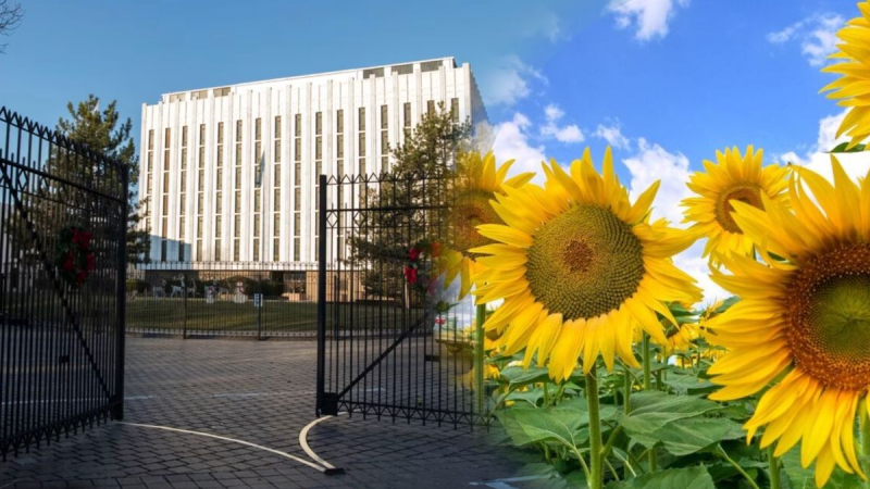 Sie führen Krieg mit Sonnenblumen und Papierwaschmaschinen: Wie Amerikaner russische Diplomaten trollen