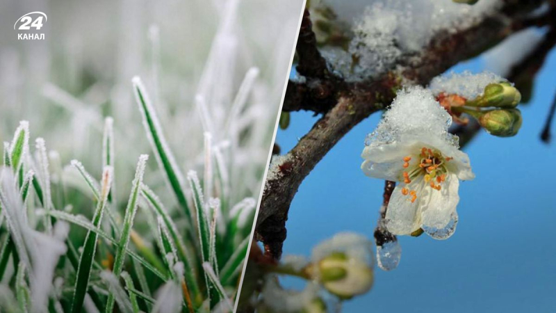 Der Boden wird mit Frost bedeckt sein: In der Ukraine werden in den kommenden Tagen strenge Fröste erwartet