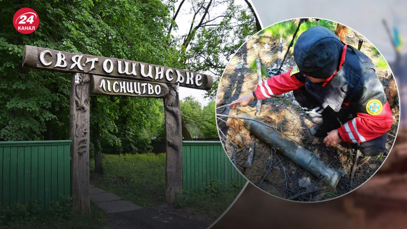 Gefahr ist überall: Fragmente von Grad-Munition in einem Wald bei Kiew gefunden