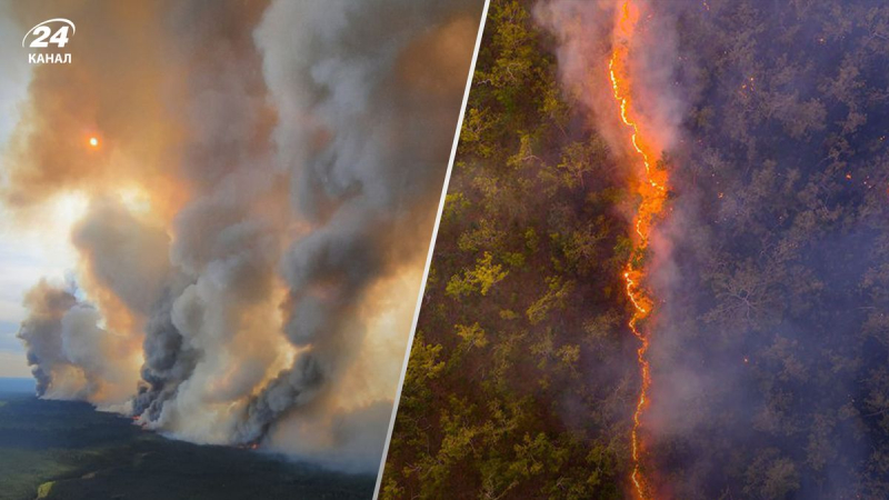 Große Waldbrände wüten in Kanada: Das Land hat die größte Evakuierung in der Geschichte