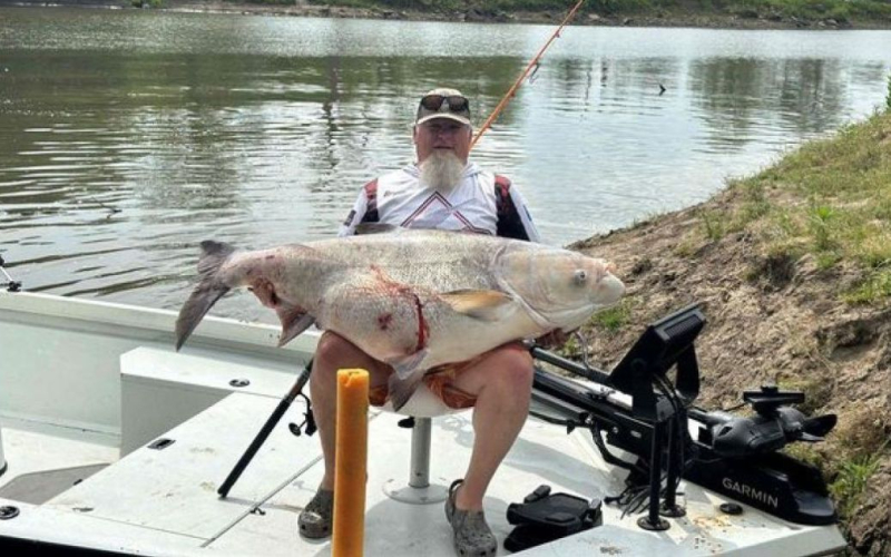 Angeln fing einen riesigen Fisch mit dem Gewicht eines 14-jährigen Teenagers“ /></p>
<p><strong>Der gefangene Silberkarpfen wog mehr als 53 kg.</strong></p>
<p>Brian Baker war beim Angeln am Great Cherokee Lake im US-Bundesstaat Oklahoma, als ein rekordverdächtiger Großkopfkarpfen gefangen wurde.</p>
<p>Dies berichtet The Mirror.</p>
<p>Experten sagen, der Fang habe dazu beigetragen, eine ökologische Katastrophe abzuwenden „Katastrophe“, da die Anwesenheit von Fischen im örtlichen Wasser die Nahrungskette zu unterbrechen drohte.</p>
<p>„Mir wurde sofort klar, dass dies überhaupt nicht das ist, was ich einmal gefangen habe“, sagte Baker und fügte hinzu, dass dies seine größte Katastrophe sei Fang in allen Jahren.</p>
<p> < p>Es stellte sich heraus, dass der Fisch mehr als 53 kg wiegt, ungefähr das gleiche Gewicht kann ein durchschnittlicher 14-jähriger Teenager haben.</p>
<p>Das ist mehr als der Rekord für den größten Fisch der Welt. Die International Sports Anglers Association (IGFA) verzeichnete im Jahr 2005 einen Fang von Süßwasserfischen mit einem Gewicht von mehr als 40 kg, der als der größte Süßwasserfisch gilt. /strong> und brach damit den Staatsrekord von 64 Jahren.</p>
<h4>Verwandt Themen</h4>
<!-- relpost-thumb-wrapper --><div class=