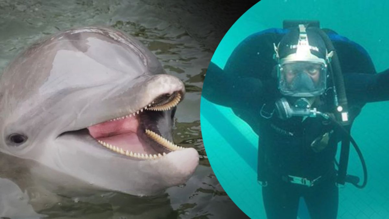 Putin hat Angst vor einer Gegenoffensive: Russland hat die Zahl der kämpfenden Delfine auf der Krim erhöht