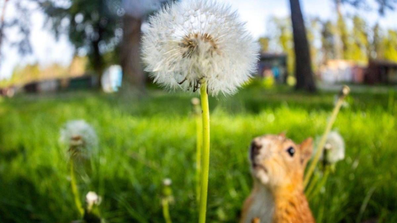 Kältewelle lässt nach: Wettervorhersage für die Ukraine am 3. Juni