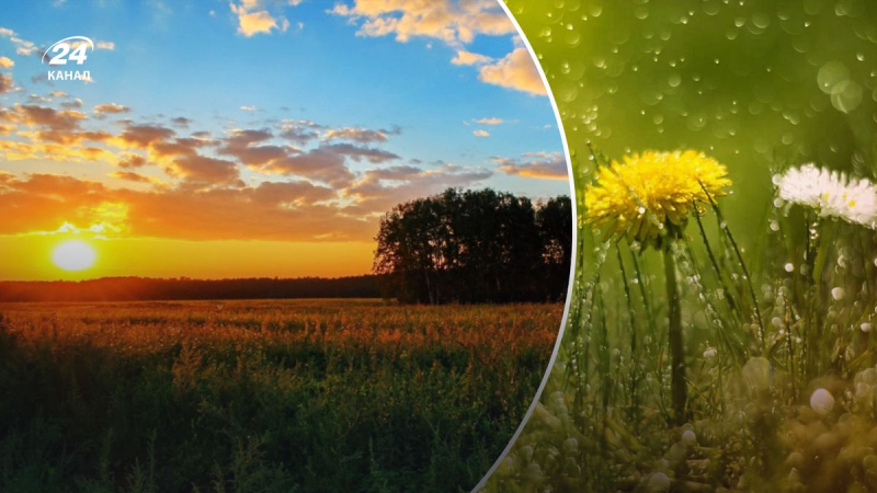 Sonne in fast jeder Ecke der Ukraine: Wettervorhersage für den 1. Juli