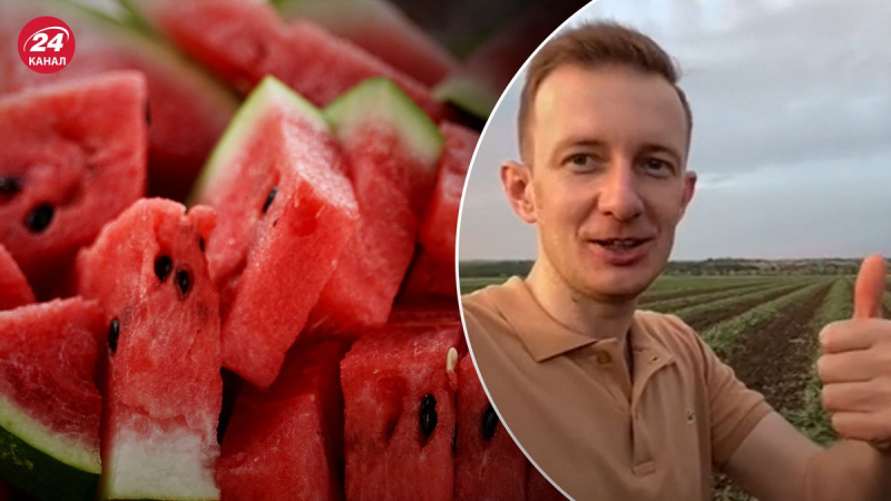 Wassermelonen unter zuverlässigem Schutz: Wie ein Bauer in der Region Cherson nach einer Wasserkraftexplosion mit Überschwemmungen zu kämpfen hatte 