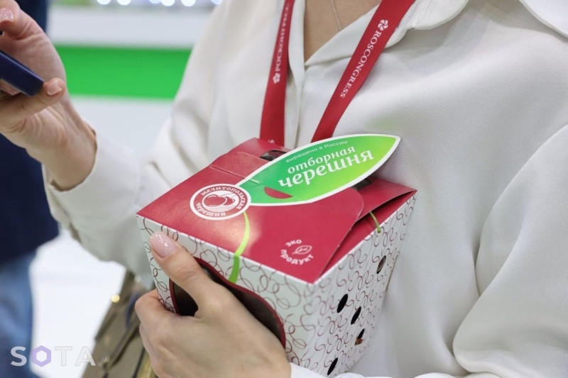 Sie zeigten der Welt ihr wahres Gesicht: auf dem Forum in St. Kirsche in die Ukraine“ /></p>
<p><img decoding=