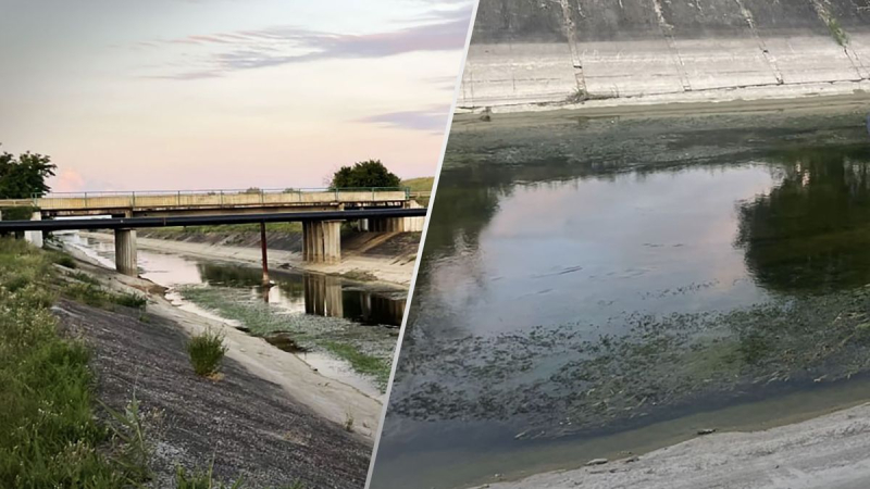 Es gibt fast kein Wasser – nur Pflanzen: Was die Eindringlinge aus dem Nordkrimkanal gemacht haben into