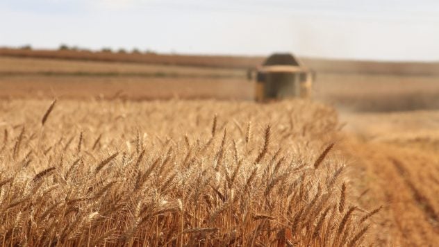 Landwirte in der Ukraine leiden nicht unter einem Mangel an Getreidelagern – Volksabgeordneter Gaidu