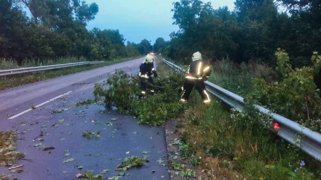 Umgestürzte Bäume und beschädigte Gebäude: Unwetter treffen Teile von Gebieten