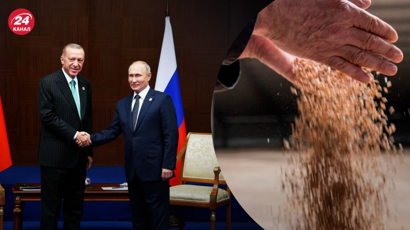 Erdogan kann Putin unter Druck setzen: Wer kann ihm helfen, Russland wieder in den Getreidehandel einzubeziehen
