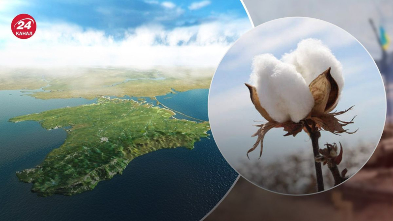 Heftige Explosionen auf der Krim: Einheimische beschweren sich über „Baumwolle“ in Feodossija“ /> </p ><source _ngcontent-sc92=