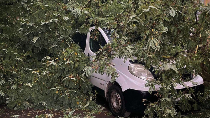 In der Hütte war eine Familie mit kleinen Kindern: In Sambir warf der Wind einen Baum auf ein Auto