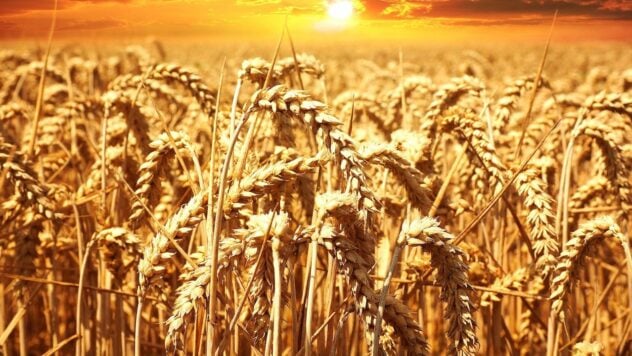 EU kann Sanktionen verhängen, wenn Polen im Alleingang das Getreideembargo gegen die Ukraine fortsetzt – RMF 24