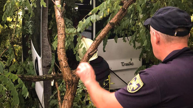 In der Hütte war eine Familie mit kleinen Kindern: In Sambir warf der Wind einen Baum um auf einem Auto“ /></p>
<p>In Sambir, Region Lemberg, warf ein starker Wind einen Baum auf einen Renault Trafik-Wagen, in dessen Kabine sich Eltern und ihre beiden kleinen Söhne befanden.</p>
<p> < p>Nach Angaben der Retter fiel der Baum auf das Auto, sobald die Familie in der Nähe des Hauses parkte.< /p> </p>
<p>Die Leute hatten keine Zeit, aus dem Auto auszusteigen, aber es gelang ihnen, die Retter darüber zu informieren was passiert war.</p>
<p>Als sie beim Anruf ankamen, schnitten sie die Äste des Baumes ab und befreiten die 38-jährige Mutter, den 37-jährigen Vater und zwei Söhne, die erst ein Jahr alt waren und vier Jahre alt.</p>
<p>Glücklicherweise brauchte die Familie keine medizinische Hilfe.</p>
</p></p>
<!-- relpost-thumb-wrapper --><div class=