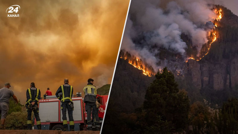 Brand außer Kontrolle: 26.000 Menschen aufgrund von Waldbränden aus Teneriffa evakuiert