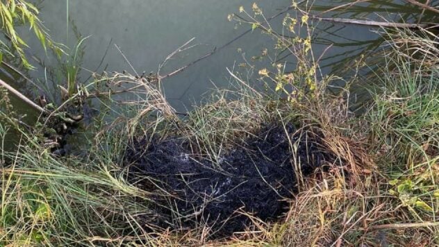 Ein verbranntes 16-jähriges Mädchen wurde am Flussufer in der Nähe von Kiew gefunden: Was ist passiert? 