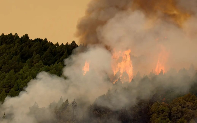 Feuer auf der Insel Teneriffa – das Feuer ist außer Kontrolle“ /></p>
<p><strong>Auf Teneriffa kämpfen Feuerwehrleute seit mehreren Tagen gegen das Feuer.</strong></p>
<p> Der Waldbrand auf <strong>Teneriffa</strong> – einer spanischen Insel der Kanarischen Inseln – hat sich auf 8.400 Hektar ausgeweitet und zur Evakuierung der Dörfer Arrate, Chivisaia, Media Montagna und Ajafona geführt, die Bewegung in dem Gebiet ist begrenzt. Waldbrände geraten außer Kontrolle, trotz der Bemühungen der Feuerwehrleute, die den vierten Tag gegen die Flammen kämpfen.</p>
<p>Dies erklärte der Vorsitzende des Rates der Kanarischen Inseln, Fernando Clavijo, schreibt DPA. </p>
<p>Ihm zufolge ist die gesamte Südfront vom Feuer „sehr stabil“, bezeichnet das Feuer aber dennoch als eines der schlimmsten auf Teneriffa in den letzten 40 Jahren.</p>
<p>As Der spanische Innenminister Fernando Grande Marlasca sagte: „Es kann gehofft werden, dass das Feuer in den nächsten Tagen, sofern das Wetter es zulässt, unter Kontrolle gebracht wird.“</p>
<blockquote class=