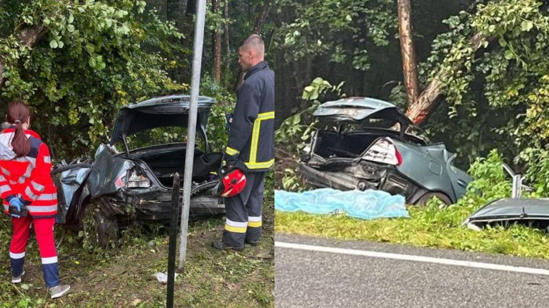 Zwei Tote, es gibt Verletzte: a Auto prallte in der Region Lemberg gegen einen Baum“/></p>
<p id=