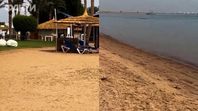 Ihre Hand abgebissen: In Ägypten hat ein Hai einen Touristen am Strand angegriffen