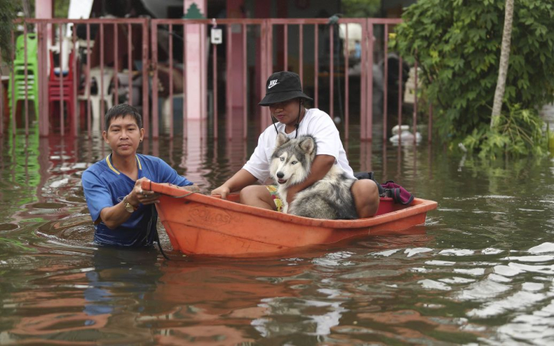 China geht unter Wasser: Schauer gehen den siebten Tag weiter (Foto)“ /></p>
<p><strong>In überschwemmten Gebieten findet eine Evakuierung statt.</strong></p>
<p><strong>China< /strong> Siebter Der Tag wird von Regengüssen heimgesucht, die durch den Taifun Haikui verursacht wurden, der heute ein tropischer Sturm ist. Tief gelegene Gebiete werden überschwemmt, Straßen und Menschen blockiert.</p>
<p>Reuters schreibt darüber.</p>
<p>In Flachhäusern in der Region Guangxi beträgt der Wasserstand mehr als 2 Meter. Retter evakuieren Menschen von dort. In einigen Gebieten führten starke Regenfälle zu Erdrutschen, die Straßen zerstörten und Brücken einstürzten.</p>
<p><img decoding=