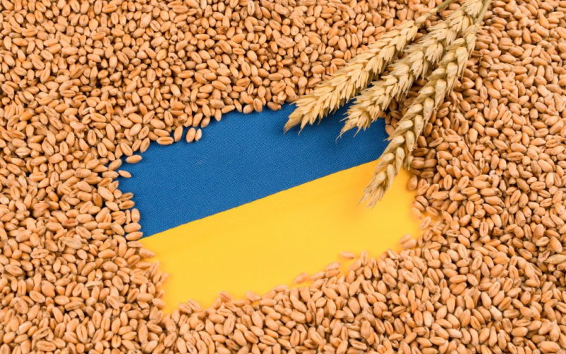 "Grain&quot ; Krise: Polen und die Ukraine einigten sich darauf, einen Kompromiss zu finden eine gemeinsame Lösung bezüglich des Getreideembargos, was zu einem Streit zwischen den beiden Ländern führte.</p>
<p>Das heißt es auf der Website des Ministeriums für Agrarpolitik.</p>
<p dir=