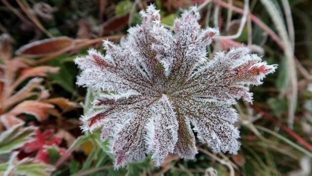 Nachtfröste, Regen und Graupel: Wettervorhersage für den Rest der Woche