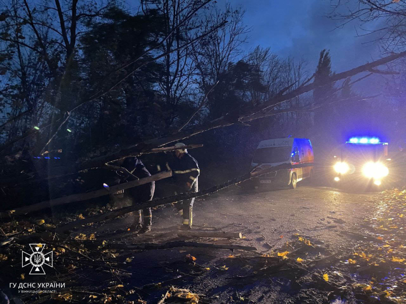 In der Ukraine tobt ein Sturm. In 12 Regionen gibt es Probleme mit der Stromversorgung, Hunderte umgestürzte Bäume und zwei Tote