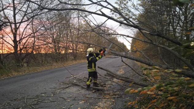 In der Ukraine tobt ein Sturm. In 12 Regionen gibt es Probleme mit der Elektrizität, Hunderte sind ums Leben gekommen Bäume und zwei Tote“ /></p>
<p>In mindestens 12 Regionen der Ukraine — in mehr als 780 Siedlungen — Es wurden Probleme mit der Stromversorgung gemeldet. Vor allem — in den Regionen Chmelnizki, Riwne und Lemberg.</p>
<p>Dies gab Innenminister Igor Klimenko bekannt.</p>
<h3 style=