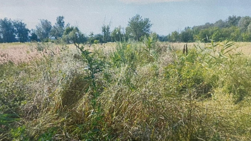 Ich rief den Besatzern zu: „Ehre sei der Ukraine!“: Einzelheiten der Ermittlungen im Mordfall des Schriftstellers Wakulenko 