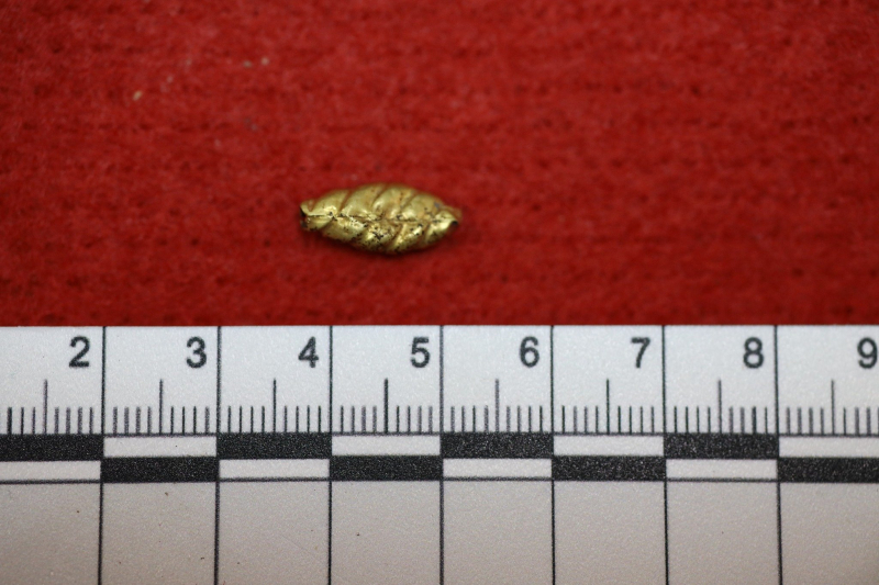 Ein äußerst seltener Fund. Goldschmuck aus der Zeit des Hetmanats wurde in Bila Tserkva entdeckt