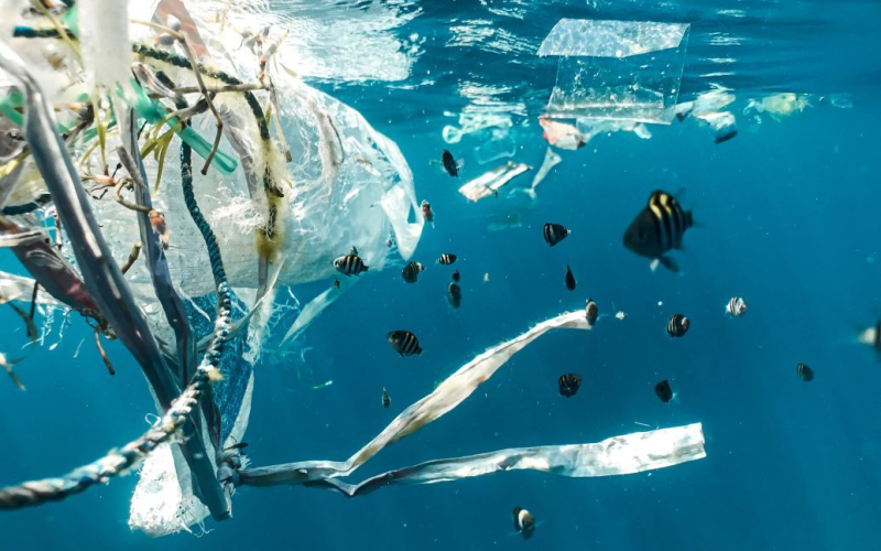 Wie man die Verschmutzung stoppt Die Erde bleibt für immer aus Plastik – Forschung“ /></p>
<p><strong>Infolge menschlicher Aktivitäten ist der Planet mit Müll gefüllt.</strong></p>
<p>In den letzten 70 Jahren hat Wir haben mehr als 10 Milliarden Tonnen Kunststoff produziert. Bis 2050 könnte ihre Menge an Plastikmüll also um 60 % ansteigen.</p>
<p>Die Washington Post schreibt darüber.</p>
<h2>Details</h2>
<p>Im Zeitraum ab 1950 Im Jahr 2021 produzierte die Menschheit etwa 11 Milliarden Tonnen Originalkunststoff – das Gewicht von 110.000 US-Flugzeugträgern. Davon sind nur noch etwa 2 Milliarden Tonnen im Einsatz. Der Rest – etwa 8,7 Milliarden Tonnen – ist Abfall:</p>
<p>Nun besteht jedoch Hoffnung, dass diese Anhäufung gestoppt werden kann. Im vergangenen Jahr einigten sich mehr als 175 Länder darauf, einen rechtsverbindlichen internationalen Vertrag zu schließen, um die Plastikverschmutzung bis 2040 zu beenden. Vorläufig können Länder mithilfe umfassender Maßnahmen eine Reduzierung des jährlichen Plastikmülls um mehr als 87 % erreichen.</p>
<p>Laut Wissenschaftlern der University of California sind die wirksamsten Maßnahmen:</p>
<p> < p>Es wird geschätzt, dass durch solche Maßnahmen mindestens 78 Millionen Tonnen nicht entsorgter Plastikmüll reduziert werden.</p>
<p>„Wenn wir die Einnahmen aus dieser Steuer nutzen würden, um 50 Milliarden US-Dollar in die globale Abfallinfrastruktur zu investieren, könnten wir die Umweltverschmutzung im Vergleich zu einem Business-as-usual-Szenario um bis zu ein Drittel reduzieren“, betonen die Forscher.</p>
<p> Das Verbot fügt hinzu, dass allein Polystyrol den Plastikmüll bis 2050 um 500.000 Tonnen reduzieren würde, während Einwegkunststoffe aus anderen Polymeren wie Polypropylen die Umweltverschmutzung um 13,7 Millionen Tonnen reduzieren könnten. Gleichzeitig sind solche Verbote zwar nützlich, können aber ohne andere Maßnahmen keinen wesentlichen Unterschied machen.</p>
<p>Experten warnen, dass Plastikmüll die Gesundheit von Ökosystemen, die Artenvielfalt und die Bemühungen zur Bekämpfung des Klimawandels gefährdet Problem der öffentlichen Gesundheit und der Umweltgerechtigkeit.</p>
<p>„Je mehr Plastik wir produzieren, desto mehr finden wir in unserem Körper – wir verschmutzen uns selbst“, sagte Monica Medina, Leiterin der Wildlife Conservation Society.</p>
<p> < h4>Verwandte Themen:</h4>
<p>Weitere Neuigkeiten</p>
<!-- relpost-thumb-wrapper --><div class=
