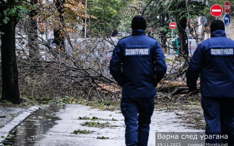 Schwerer Sturm in Bulgarien: Zwei Menschen starben, Zehntausende blieben ohne Strom (Foto)