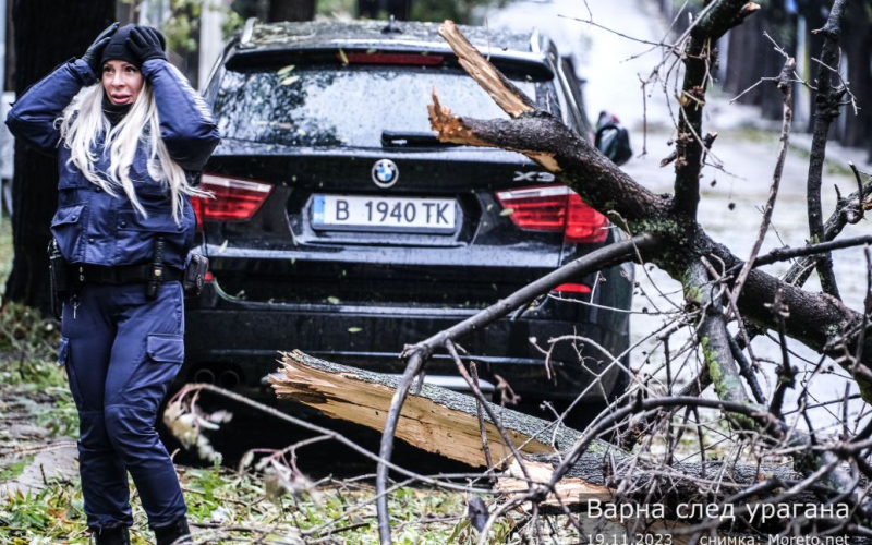 Schwerer Sturm in Bulgarien: Zwei Menschen starben, Zehntausende blieben ohne Strom (Foto)