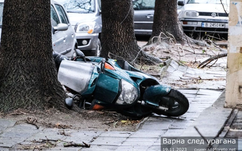 Schwerer Sturm in Bulgarien: Zwei Menschen starben, Zehntausende &mdash ; links ohne Licht (Foto)