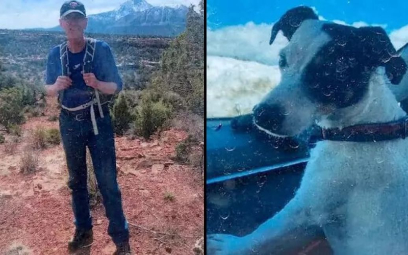 Ein Hund saß zwei Monate lang neben der Leiche seines toten Besitzers in den Bergen