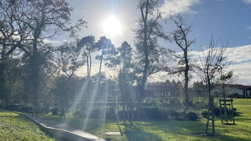 Landais: Was ist über ein einzigartiges Dorf bekannt, in dem alle Einwohner an Demenz leiden (Foto)