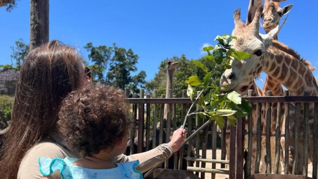 Ein unglaubliches Abenteuer: Svitolina zeigte ein Video mit ihrer Tochter aus einem Zoo in Neuseeland