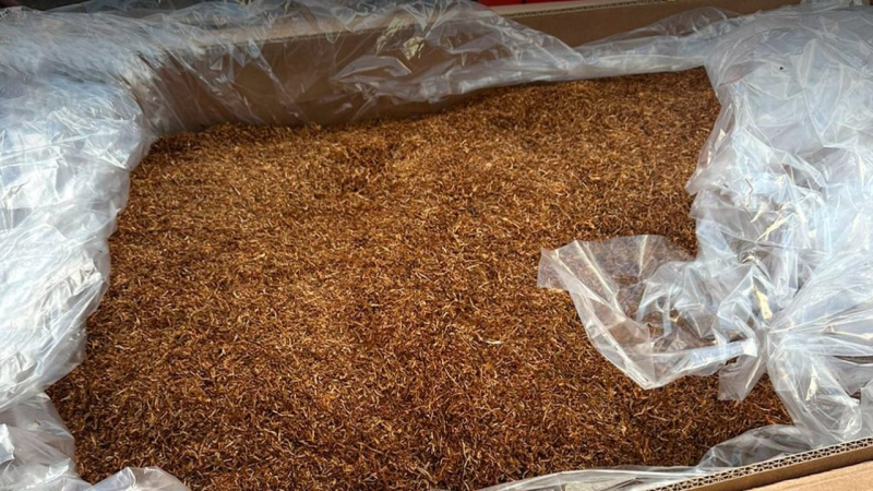 Ein Anhänger mit 11 Tonnen gefälschtem Tabak wurde in einem Autodepot in Czernowitz entdeckt - BEB